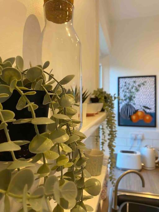 Garden Apartment, Central Harrogate With Parking Exterior photo